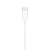 Apple EarPods with Remote and Mic (USB-C)-954844